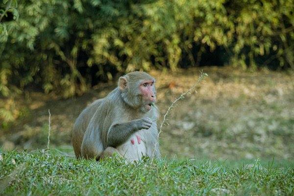 Comment détecter chatgpt de façon sûre